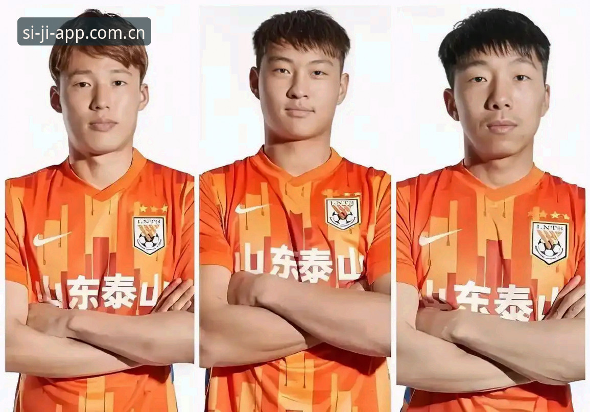 足协禁足名单 vs 观赛体验：如何通过四季安装助手追踪赛事动态